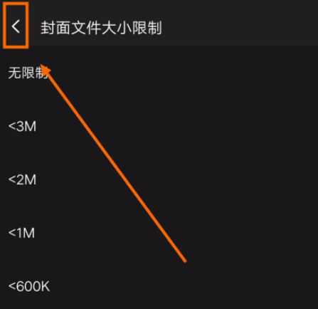 《飞傲音乐》怎么关闭显示封面