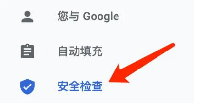 《谷歌浏览器》进行安全检查方法