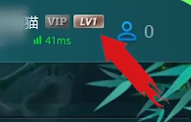 《up对战平台》等级怎么升级