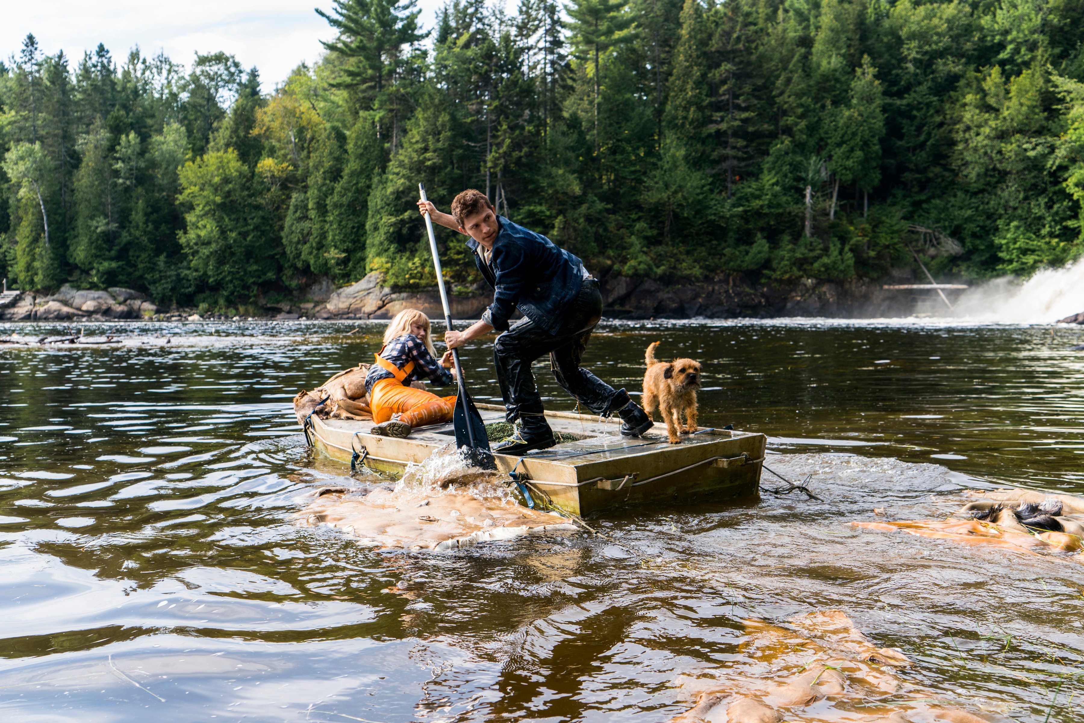 混沌行走(2021)的剧照 混沌行走(2021)的剧照