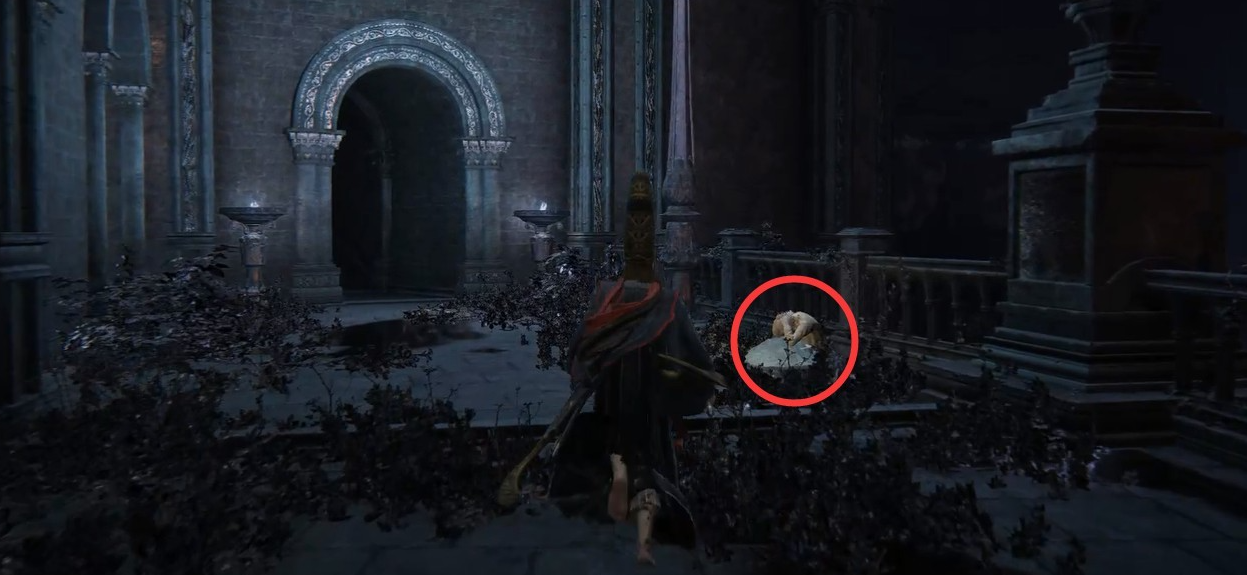 《艾尔登法环》D的孪生弟弟位置介绍