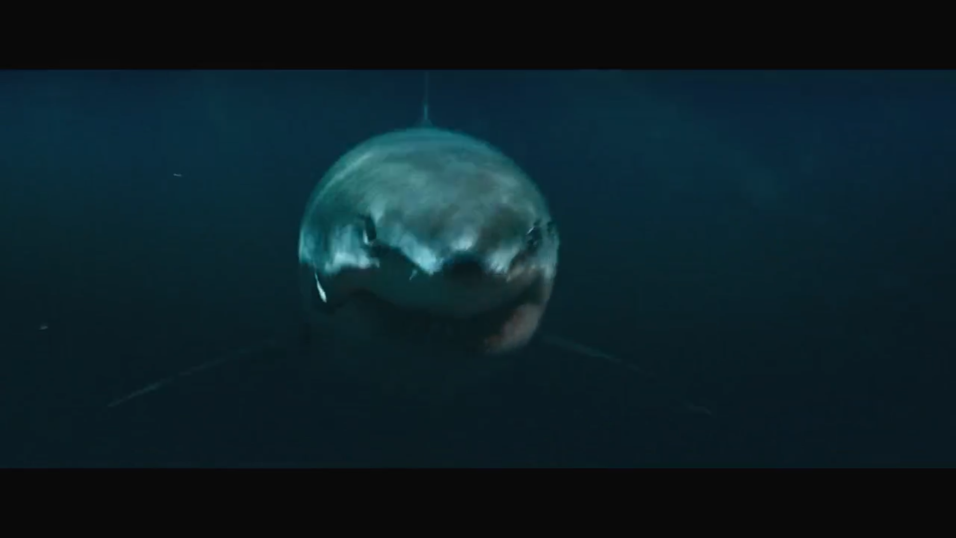 鲨颤(2022)的剧照 鲨颤(2022)的剧照