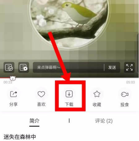 《猫耳FM》怎么下载音频