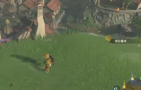 《王国之泪》海拉鲁米哪里找