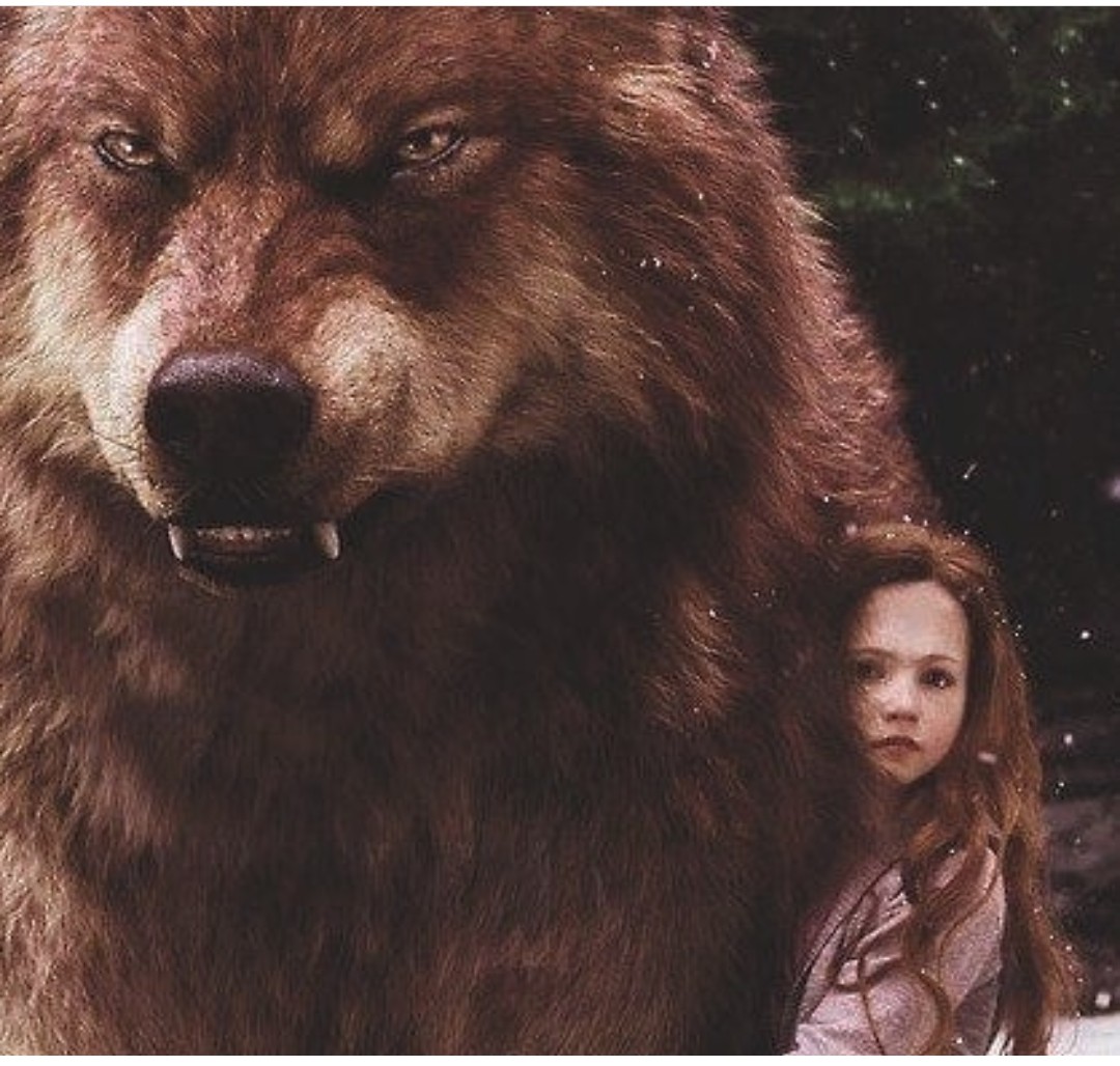 暮光之城4:破晓(下)(2012)的剧照 暮光之城4:破晓(下)(2012)的剧照