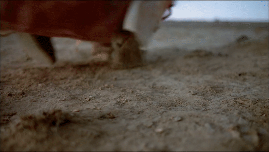 《王者荣耀》芈月英雄皮肤 白晶晶介绍