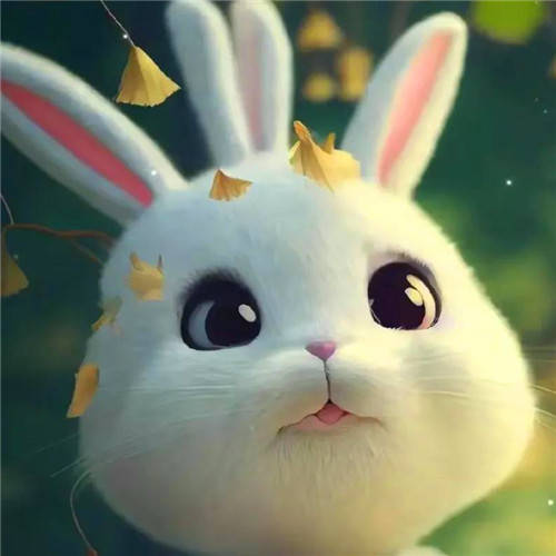 2023《微信》兔年头像最新款