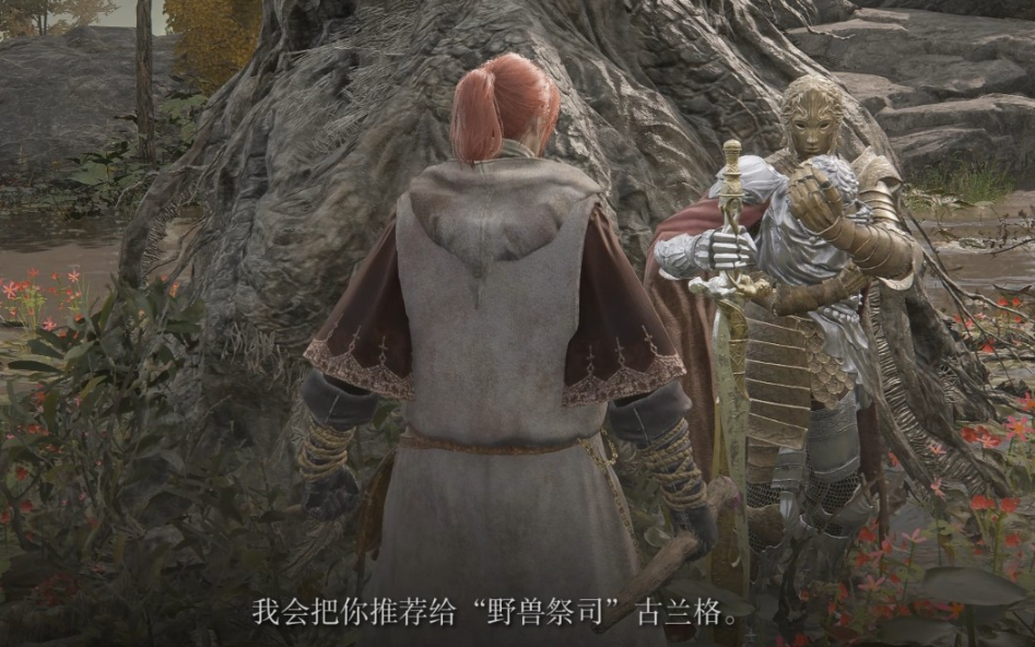 《艾尔登法环》D位置介绍