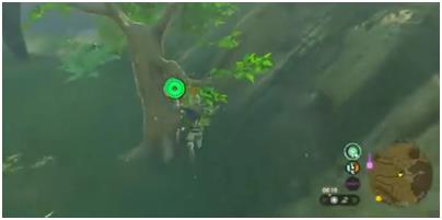 《塞尔达传说：王国之泪》蜂蜜获取位置介绍