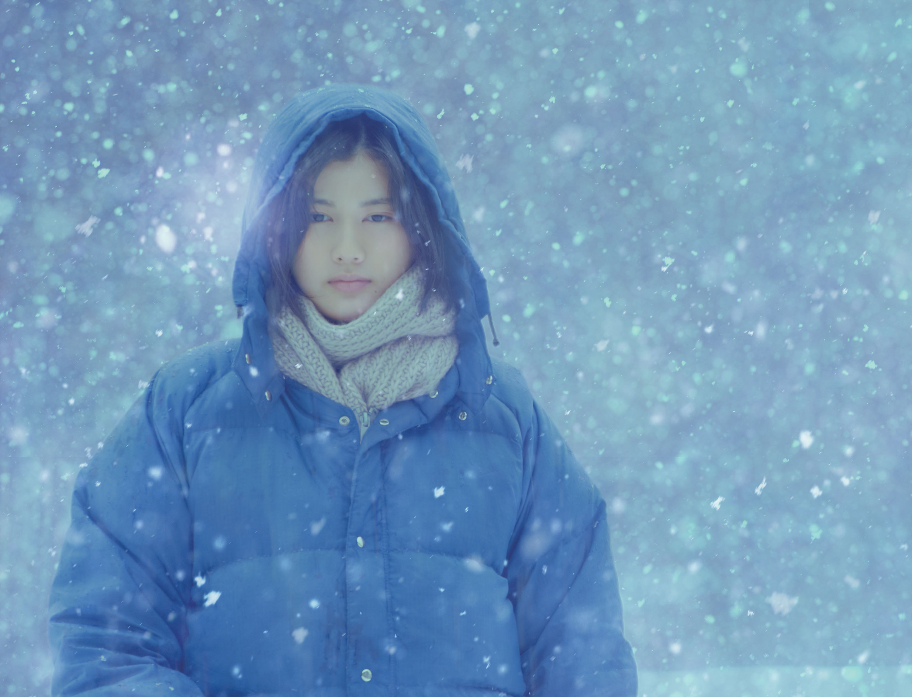 小森林(2015)的剧照 小森林(2015)的剧照