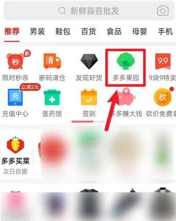 《拼多多》怎么领养看门狗