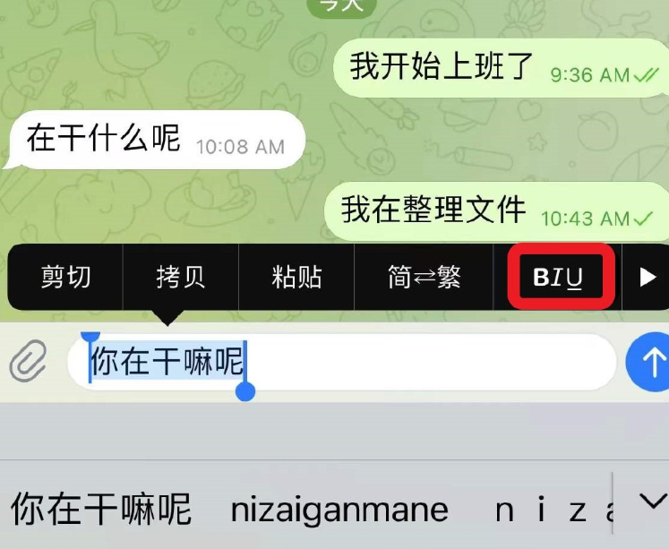 《Telegram》怎么发送隐藏信息