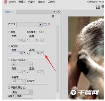 《ACDSee》怎么修改照片分辨率