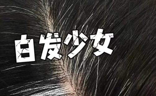 白头发看中医挂什么科3