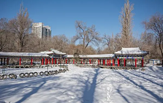 数九2023从哪一天开始到哪一天结束3