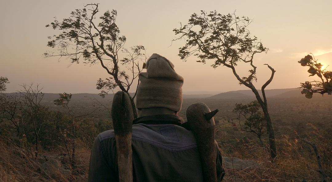 马卡拉(2017)的剧照 马卡拉(2017)的剧照