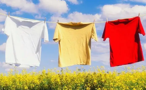 衣服淋了一点小雨有关系吗2