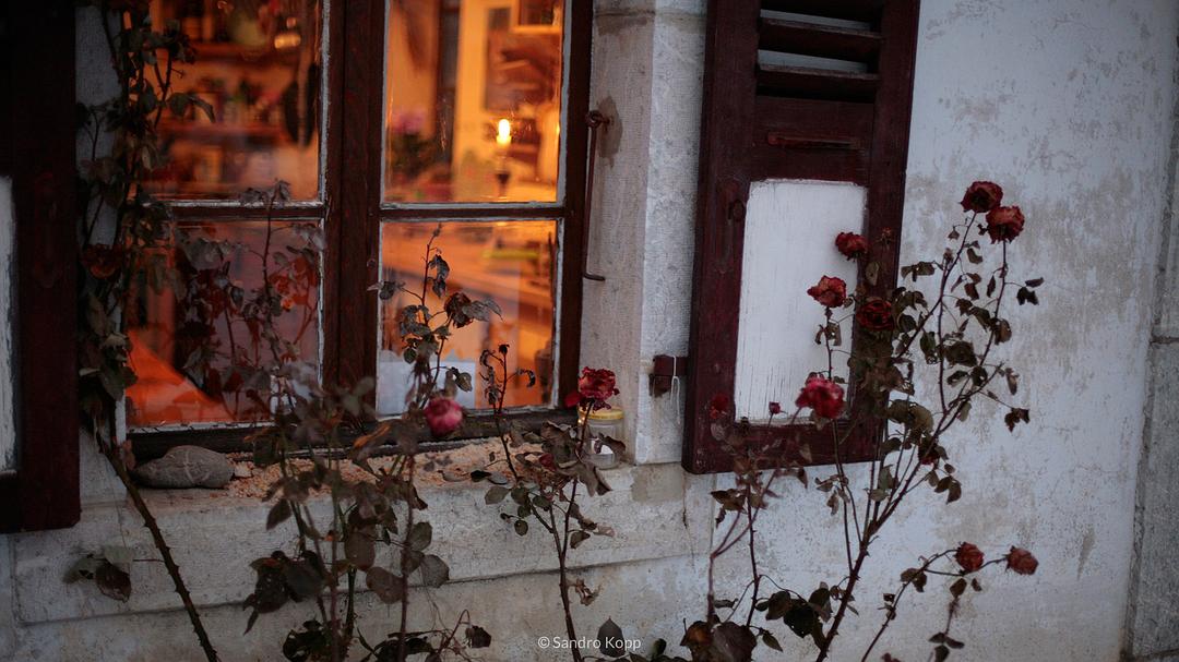 昆西四季(2016)的剧照 昆西四季(2016)的剧照