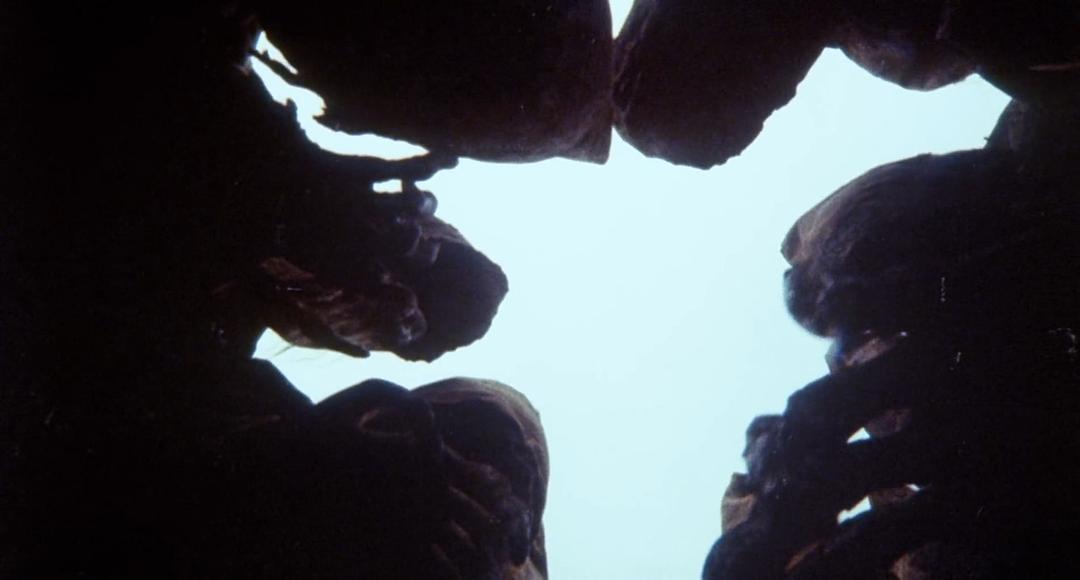 墓地亡灵3:幽灵船(1974)的剧照 墓地亡灵3:幽灵船(1974)的剧照