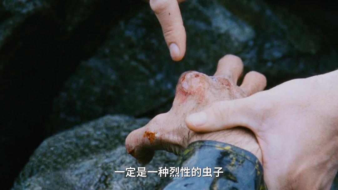 嗜血蟑螂(2000)的剧照 嗜血蟑螂(2000)的剧照