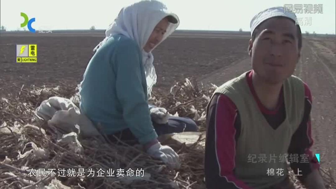 棉花
(2014)的剧照 棉花
(2014)的剧照