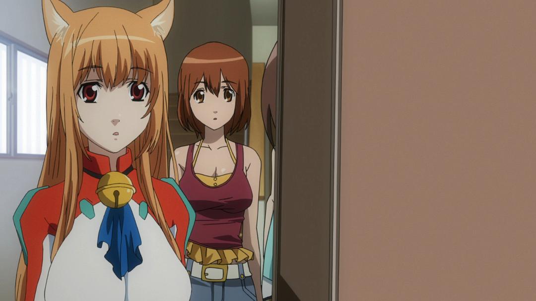 玩伴猫耳娘(2010)的剧照 玩伴猫耳娘(2010)的剧照