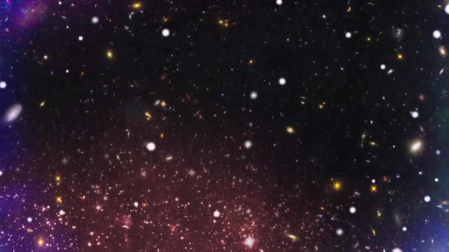 爱因斯坦神模式(2016)的剧照 爱因斯坦神模式(2016)的剧照