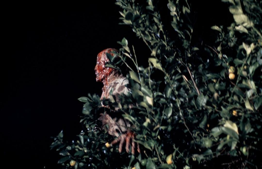 不可思议的融化人(1977)的剧照 不可思议的融化人(1977)的剧照