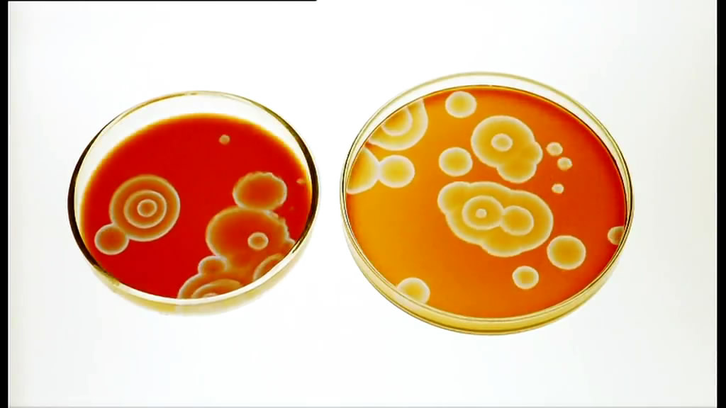 神秘的混沌理论(2010)的剧照 神秘的混沌理论(2010)的剧照