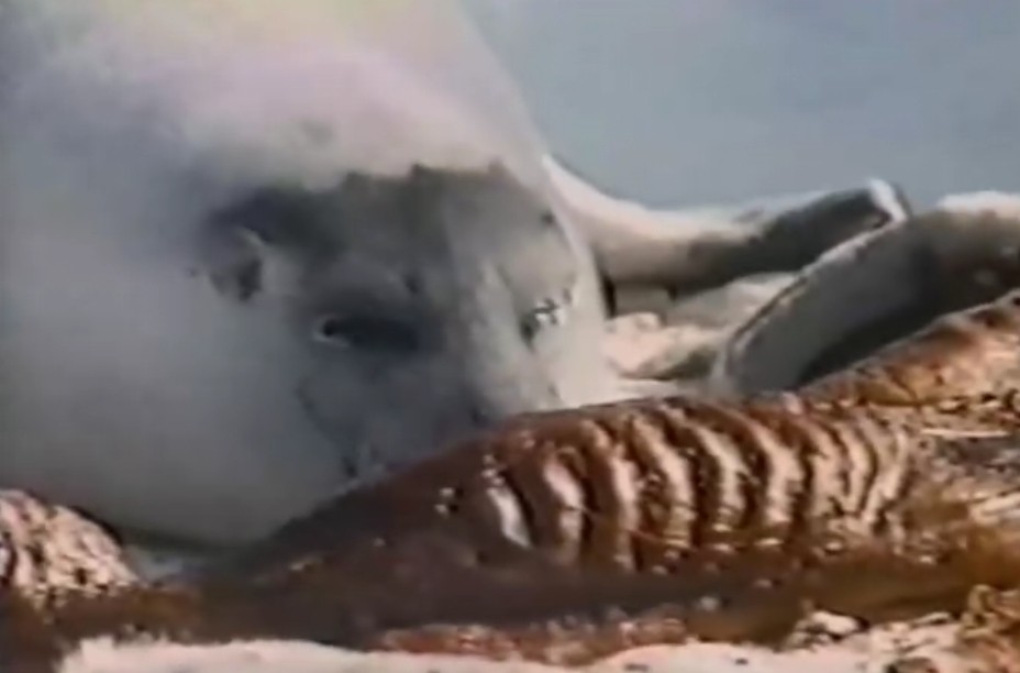 地球公民(2005)的剧照 地球公民(2005)的剧照