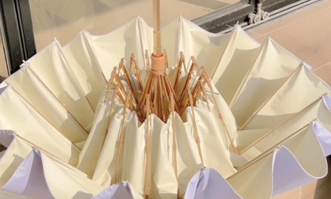 突然收到一个顺丰快递写雨伞怎么回事2