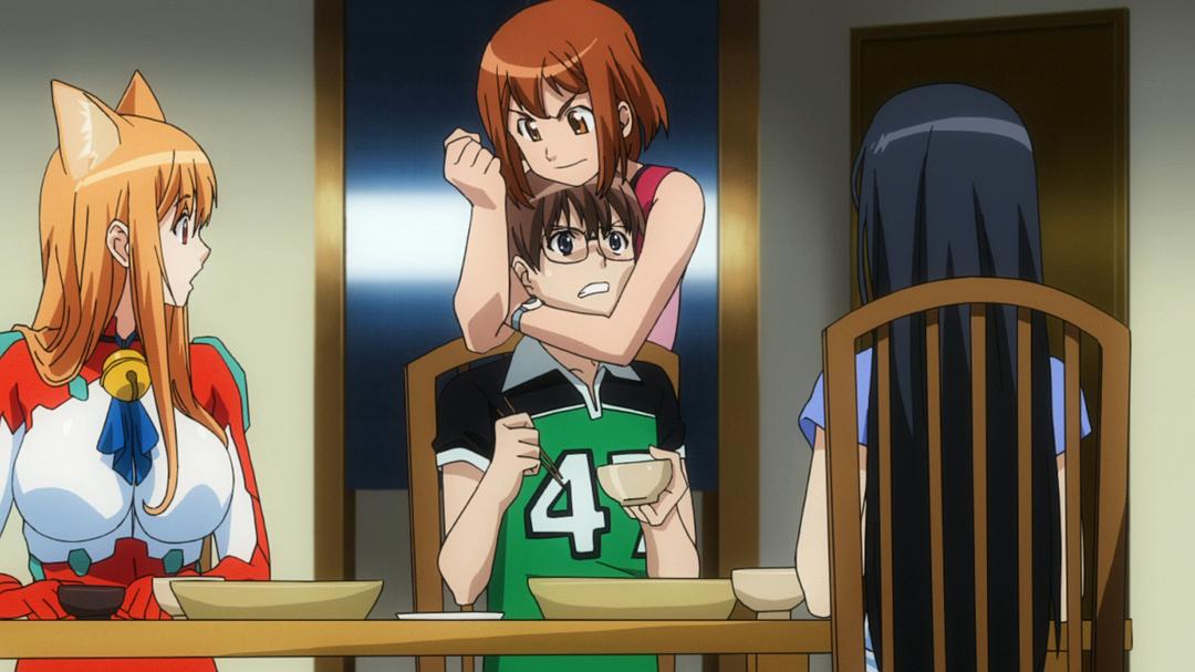 玩伴猫耳娘(2010)的剧照 玩伴猫耳娘(2010)的剧照