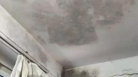 天花板发霉是楼上漏水吗2