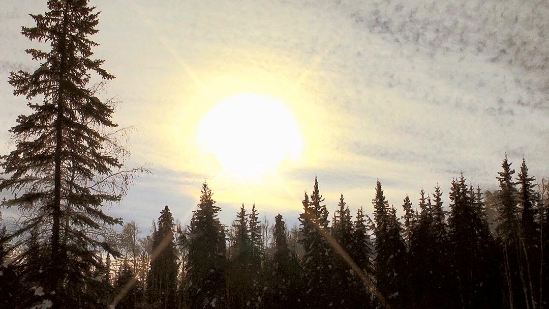 远离尘嚣——摆脱时间束缚的苏珊一家(2014)的剧照 远离尘嚣——摆脱时间束缚的苏珊一家(2014)的剧照