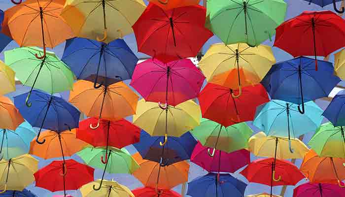 雨伞1.jpg 雨伞1.jpg