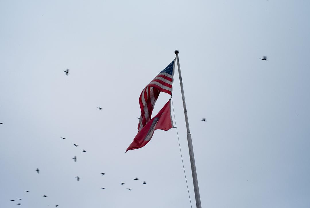 西孟菲斯(2012)的剧照 西孟菲斯(2012)的剧照