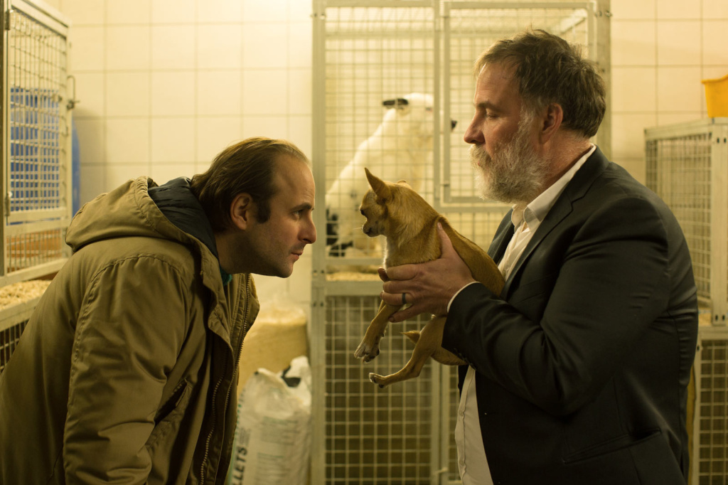 狗(2017)的剧照 狗(2017)的剧照