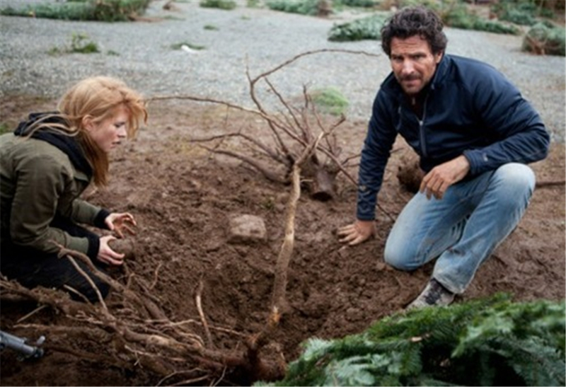 圣诞十二劫(2012)的剧照 圣诞十二劫(2012)的剧照