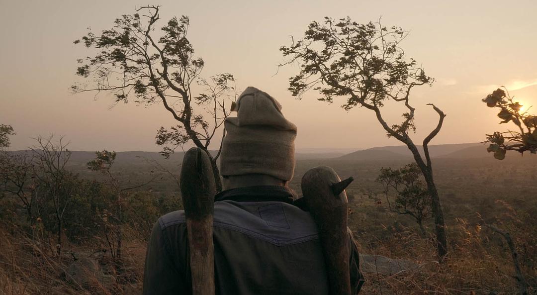 马卡拉(2017)的剧照 马卡拉(2017)的剧照