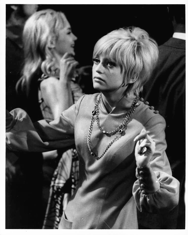 仙人掌花(1969)的剧照 仙人掌花(1969)的剧照