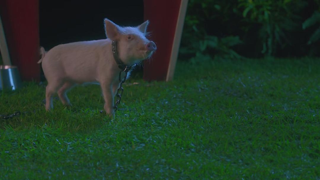 牙仙2(2012)的剧照 牙仙2(2012)的剧照