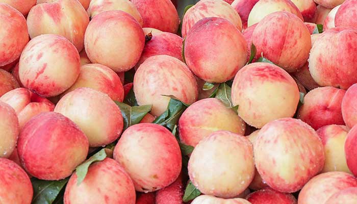 桃树硬核期施什么肥 桃树硬核期怎么施肥