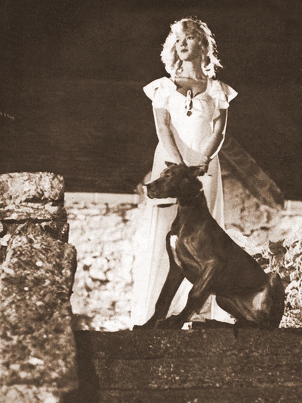 菩提树下死(1978)的剧照 菩提树下死(1978)的剧照