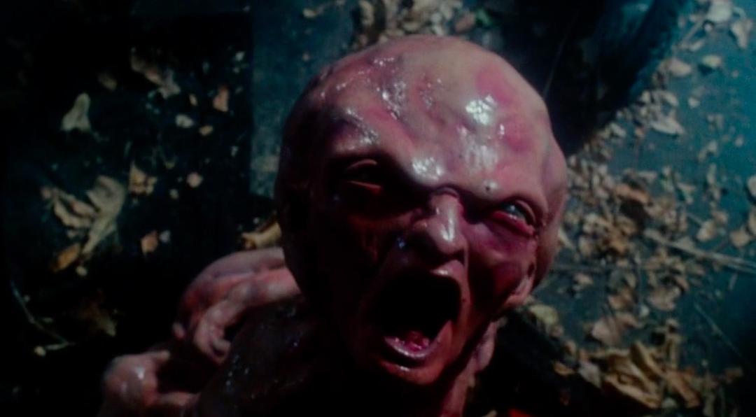 猛鬼街5:猛鬼怪胎(1989)的剧照 猛鬼街5:猛鬼怪胎(1989)的剧照