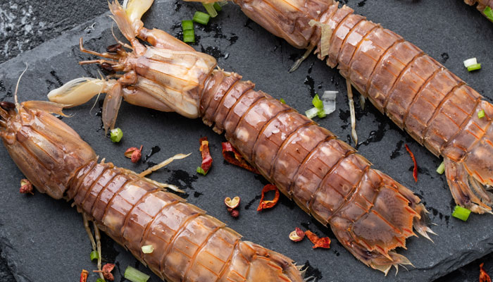 皮皮虾2.jpg 皮皮虾2.jpg