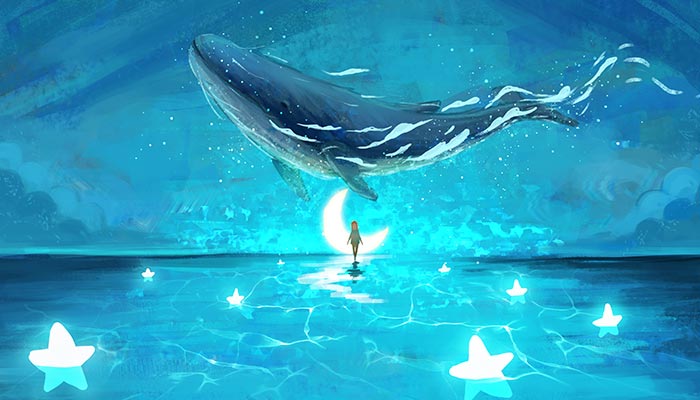 鲸鱼-9.jpg 鲸鱼-9.jpg