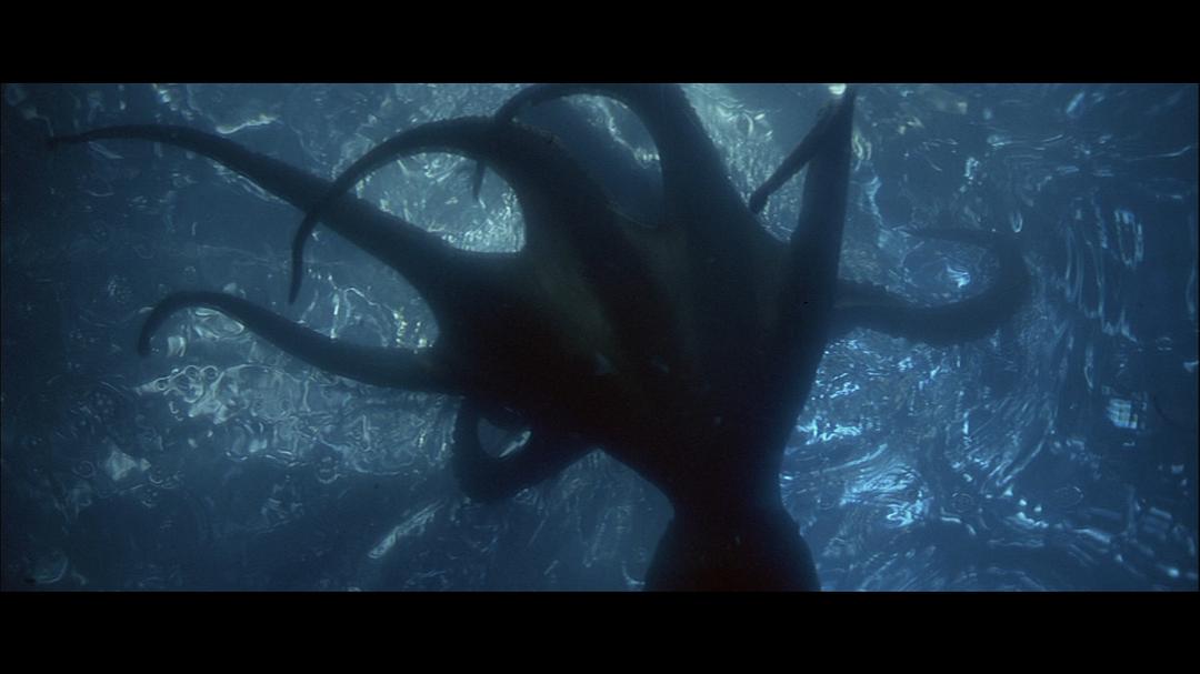 恐怖触须(1977)的剧照 恐怖触须(1977)的剧照