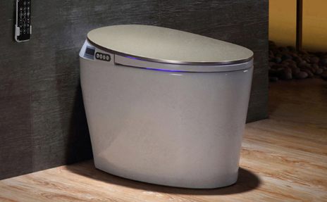 马桶两个排污口好不好3