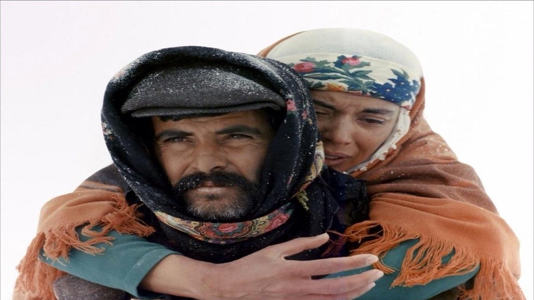 自由之路(1982)的剧照 自由之路(1982)的剧照