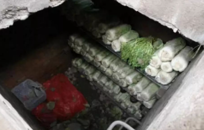 为什么进入地窖取物要拿油灯2